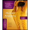 Human Anatomy, Media Update by Elaine N. Marieb, Patricia Brady Wilhelm and Jon B. Mallatt - ISBN 9780321753274