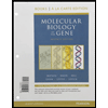 Molecular-Biology-of-the-Gene-Loose, by James-D-Watson - ISBN 9780321905376