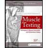 Daniels-and-Worthinghams-Muscle-Testing, by Dale-Avers - ISBN 9780323569149