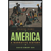 America-Narrative-History-Volume-2---With-Registration-Card, by David-Emory-Shi - ISBN 9780393878325