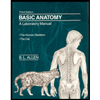 Basic-Anatomy-Laboratory-Manual-The-Human-Skeleton---The-Cat