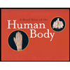 Brief Atlas of the Human Body by Elaine N. Marieb, Jon Mallatt and Ralph T. Hutchings - ISBN 9780805353365