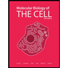 Molecular Biology of the Cell - Student Edition - With DVD by Alberts, Johnson, Lewis, Raff, Roberts and Walter - ISBN 9780815341055