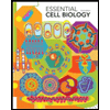 Essential Cell Biology - With DVD by Bruce Alberts - ISBN 9780815341291
