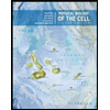 Physical-Biology-of-the-Cell, by Rob-Phillips-Jane-Kondev-Julie-Theriot-and-Hernan-Garcia - ISBN 9780815344506