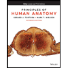 Principles-of-Human-Anatomy-Looseleaf, by Gerard-J-Tortora-and-Mark-T-Nielsen - ISBN 9781119662761