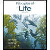 Principles-of-Life, by D-Hillis-M-Price-R-Hill-D-Hall-and-M-Laskowski - ISBN 9781319017712