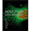 Molecular-Cell-Biology---With-Launchpad-Access, by Harvey-Lodish-Arnold-Berk-Chris-A-Kaiser-and-Hidde-Ploegh - ISBN 9781319067748