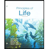 Principles-of-Life-Looseleaf, by David-M-Hillis-David-E-Sadava-Richard-W-Hill-and-Mary-V-Price - ISBN 9781319249397