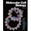 Molecular-Cell-Biology-Looseleaf, by Harvey-Lodish - ISBN 9781319365493
