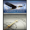 American-System-of-Criminal-Justice, by George-F-Cole-Christopher-E-Smith-and-Christina-DeJong - ISBN 9781337558907