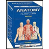 Anatomy Flash Cards by Vincent Perez - ISBN 9781423204237
