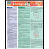 Sonography Tech by Kathrine Almquist - ISBN 9781423208952