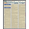 U. S. Constitution by BarCharts - ISBN 9781423215653
