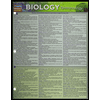 Biology Terminology by Inc. BarCharts - ISBN 9781423221517