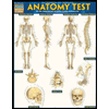 Anatomy Test by Barcharts inc - ISBN 9781423223542