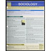Sociology by BarCharts Publishing - ISBN 9781423224358