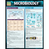 Microbiology by Frank Miskevich - ISBN 9781423233190
