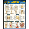 Anatomy Quizzer by Vincent Perez - ISBN 9781423244127