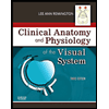 Clinical-Anatomy-of-the-Visual-System, by Lee-Ann-Remington - ISBN 9781437719260