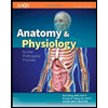 Anatomy-and-Phys-for-Prehospital-Provider, by AAOS - ISBN 9781449642303