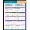 Free Body Diagrams Chart Size: 1 Panel by Permacharts - ISBN 9781550802146