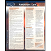 Antitrust Law by Permacharts - ISBN 9781550807905
