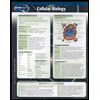 Cellular Biology Chart Size: 2 Panel by Permacharts - ISBN 9781550808025
