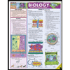 Biology by BarCharts - ISBN 9781572227415