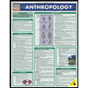 Anthropology: Quick Study Chart - BarChart by BarCharts - ISBN 9781572228245