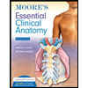 Moores-Essentials-Clinical-Anatomy, by Anne-MR-Agur - ISBN 9781975174248