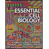 cover of Essential Cell Biology 5e (5th edition)