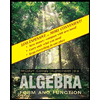 Algebra : Form and Functions (Looseleaf) by William G. McCallum - ISBN 9780470556641