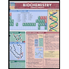 Biochemistry: Quick Study Chart by BarCharts Inc. - ISBN 9781423208532