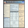 Microeconomics by BarCharts - ISBN 9781423208556