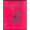 Molecular Biology of Cell, Student Edition - Text Only by Alberts - ISBN M000883263