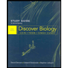 cover of Discover Biology : Core Topics -Study Guide (4th edition)