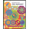 Essential Cell Biology - Text Only by Alberts - ISBN M000963239