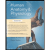 Human Anatomy and Physiology (Comp. ) - Package by Elaine Nicpon Marieb - ISBN 9780321661289