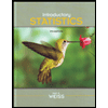 Introductory Statistics - Text Only by Neil A. Weiss - ISBN M001172062