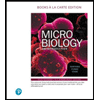 Microbiology-An-Introduction-Looseleaf, by Gerard-J-Tortora-Berdell-R-Funke-and-Christine-L-Case - ISBN 9780134720388