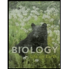 cover of Biology: Life on Earth - With Modified Access (10th edition)