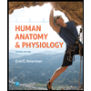 Human-Anatomy-and-Physiology, by Erin-C-Amerman - ISBN 9780134553511