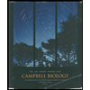 cover of Campbell Biology (Custom)