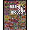 Essential Cell Biology (Hardback) by Bruce Alberts, Karen Hopkin, Alexander D. Johnson and David Morgan - ISBN 9780393679533