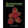 Developmental-Biology, by Michael-JF-Barresi-and-Scott-F-Gilbert - ISBN 9781605358222