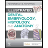 Illustrated-Dental-Embryology-Histology-and-Anatomy---With-Access
