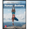 Human-Anatomy-Looseleaf, by Michael-McKinley-Valerie-OLoughlin-and-Elizabeth-Pennefather-OBrien - ISBN 9781260443820