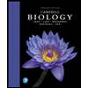 cover of Campbell Biology - Modified Mastering Biology and eText Access (12th edition)