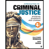 Introduction-to-Criminal-Justice-Systems-Diversity-and-Change, by Callie-Marie-Rennison-and-Mary-J-Dodge - ISBN 9781544398730